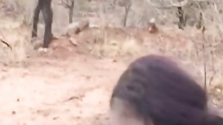 豆瓣九分以上国产极品视频- 高清在线观看