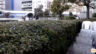 欧美国产一区二区三区在线观看,成人视频高清免费观看